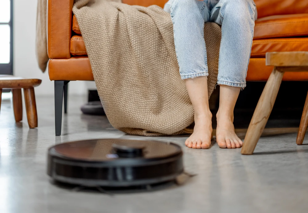 robot vacuum cleaner carpet